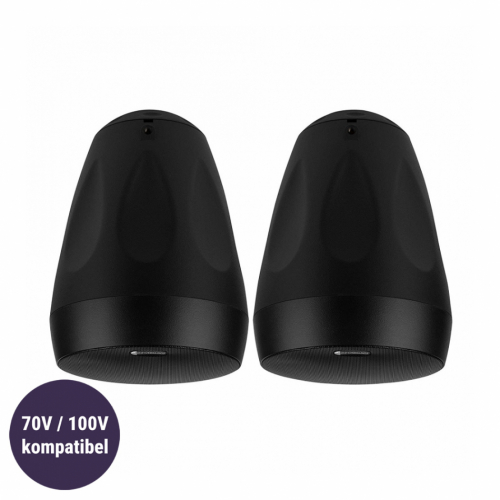 Dayton Audio WP65BT utomhushgtalare med std fr 70/100V, svart par i gruppen Installationsljud / Vdertliga hgtalare hos Ljudfokus.se (860WP65BT)