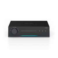Arylic LP100 nätverksstreamer med AirPlay 2, Google Cast, HDMI & RIAA-steg
