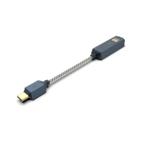 iFi Audio Go Link 2 Max kompakt hörlursförstärkare med USB-C DAC