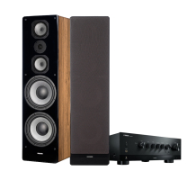 Yamaha R-N800A & Dynavoice Challenger M-105 EX v4 Ek Stereopaket Golvhögtalare