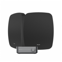 Wiim Amp & Klipsch RSM-650 Svarta Utomhushögtalare Stereopaket