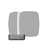Wiim Amp & Klipsch RSM-525 Vita Utomhushögtalare Stereopaket